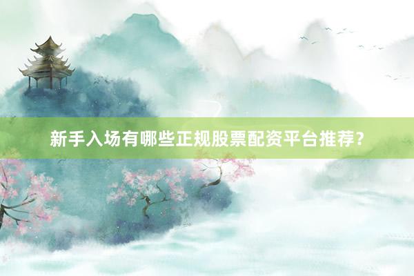 新手入场有哪些正规股票配资平台推荐？