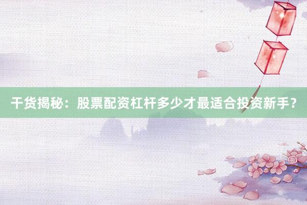 干货揭秘：股票配资杠杆多少才最适合投资新手？