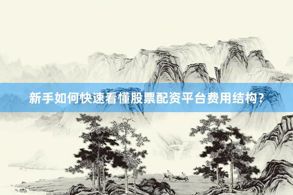 新手如何快速看懂股票配资平台费用结构？