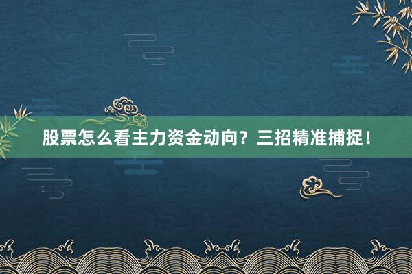 股票怎么看主力资金动向？三招精准捕捉！