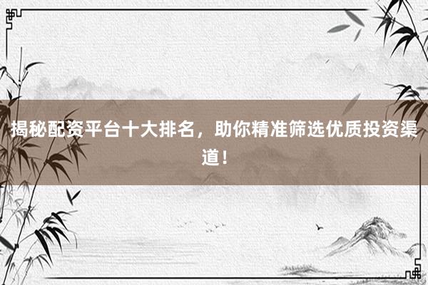 揭秘配资平台十大排名，助你精准筛选优质投资渠道！