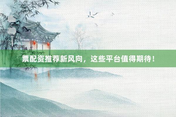 票配资推荐新风向，这些平台值得期待！