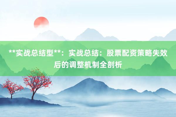 **实战总结型**:实战总结:股票配资策略失效后的调整机制全剖析