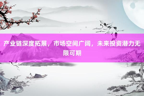 产业链深度拓展，市场空间广阔，未来投资潜力无限可期
