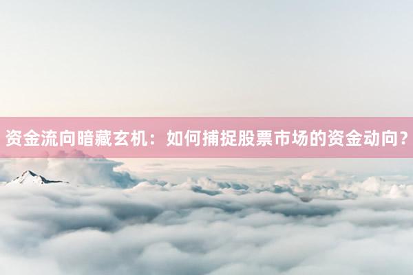 资金流向暗藏玄机：如何捕捉股票市场的资金动向？