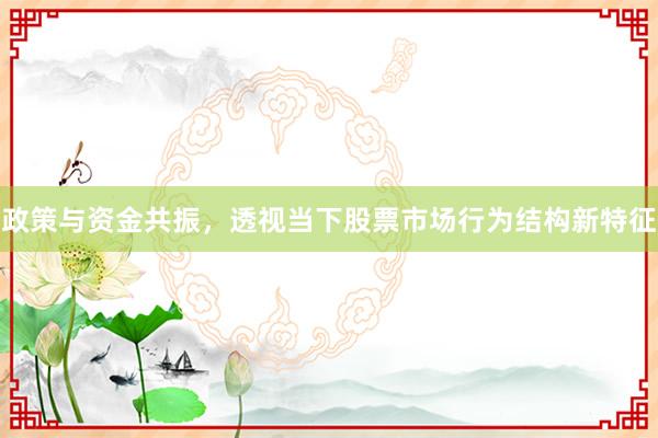 政策与资金共振，透视当下股票市场行为结构新特征