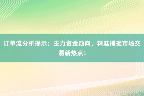 订单流分析揭示：主力资金动向，精准捕捉市场交易新热点！