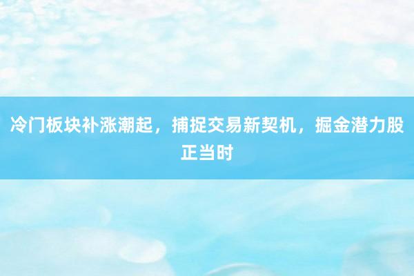 冷门板块补涨潮起，捕捉交易新契机，掘金潜力股正当时