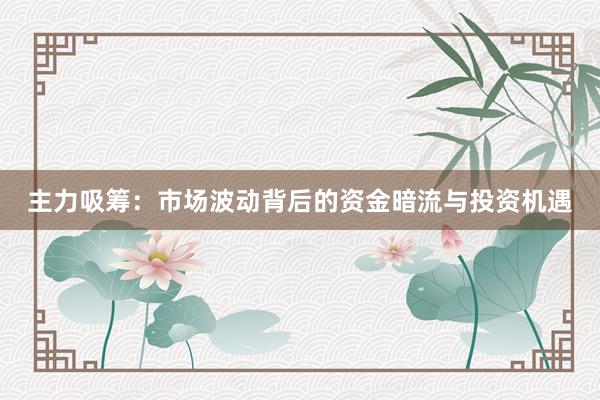 主力吸筹：市场波动背后的资金暗流与投资机遇