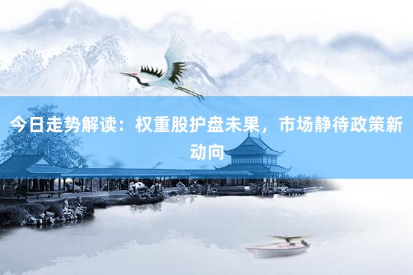 今日走势解读：权重股护盘未果，市场静待政策新动向
